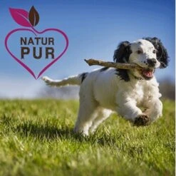 Fit-Crock Active Lamm Mini 10 Kg -ROYAL CANIN Verkaufsgeschäft d086dad7100dbdf41486dc1e184e8b3e19e70f2f 1669874 de DE e6cef6c805493de794606a88a99e94e07eba83d7iihYJV