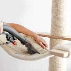 THOMAS AQUA FleckWasher -ROYAL CANIN Verkaufsgeschäft d0f5e8f3d8704727ae9f8d622c7075b7c423576b 1652086 de DE 2671b0968ff1af964b9b936f18c15a3e715921d8OZmc0o