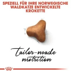 ROYAL CANIN Norwegian Forest Adult 10 Kg -ROYAL CANIN Verkaufsgeschäft d10cae32374c526515d65c11aa090e1bcea6d2f3 095e16b98db23d26bf2708e66433860bed6f0d70