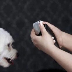 Moser Schermaschine Arco Pro -ROYAL CANIN Verkaufsgeschäft d1c65d2d167a6d8fa4a6793a53ee3362d025451e ecb090312fbe9e8eac9c719cb575336bebaad472