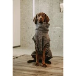 Lills Lill's Hundebademantel "Night Blue" 35 Cm -ROYAL CANIN Verkaufsgeschäft d200b579b2b65ad9031ca5a6286c317e485ef232 1653379 de DE 98bc74239c4ab048310224eeb67c837697c0c318SRPWrI