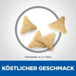 Hill's Science Plan Hairball Indoor Adult Mit Huhn 3 Kg -ROYAL CANIN Verkaufsgeschäft d22915eed5f581b2aadd8692cf33e6afbd622437 52742024011 6