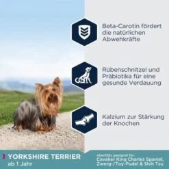 EUKANUBA Breed Specific Yorkshire Terrier 2kg -ROYAL CANIN Verkaufsgeschäft d2d88bd5978c0492f3de222e84d02a53e0ab9129 86d3ab251b2e188cb3577aa52627db4b7aa1560d
