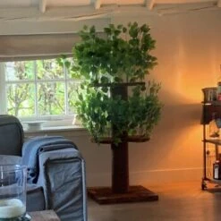 RHR Quality Kratzbaum Design Natural Leaves -ROYAL CANIN Verkaufsgeschäft d32ab4bff9ec3b85ae4c7c42fe25c58d6e1cdac6 1651772 de DE ce58d8382b7df57150df15145bf1bd288f24ba1aaicjgL