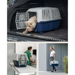 Lionto Transportbox Aus Plastik Dunkelblau S -ROYAL CANIN Verkaufsgeschäft d364b75af76fad3c0fec93f6ca004d6da24c4c4e 1657970 de DE 5fce1ea0239c94df7b5030ce7f0031e44a065aad0cy4Ox