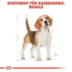 ROYAL CANIN Beagle Adult 3 Kg -ROYAL CANIN Verkaufsgeschäft d3a84b255bdcfbbde818e2c2e15191cb2313a164 3772423de91cdfa47855021f9f3e19243302a8f9