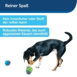PetSafe Elektronisches Hundespielzeug Ricochet -ROYAL CANIN Verkaufsgeschäft d4449f153a2c132dbacdcffdb9e5bd1534d39124 1418724 de DE f83cfc689e8023f0b85b6eeadf79a2629df4d4f153I9wY
