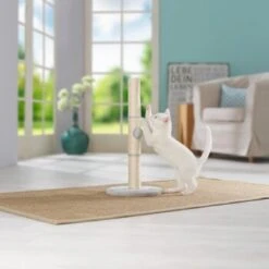 AniOne Kratzsäule Pepe&Kitty -ROYAL CANIN Verkaufsgeschäft d5701c6c4622e5291ba55a46423a44f2481c56c2 484c1f099650b6711f02ae3db97410a6f9af5da0