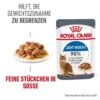 ROYAL CANIN Light Weight Care 12x85g In Soße -ROYAL CANIN Verkaufsgeschäft d5e62073b49a9d92e5d4409916fcbd4a6d9efc8a 1099138 2