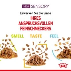 ROYAL CANIN SENSORY Feel In Gelee Für Wählerische Katzen 12x85g -ROYAL CANIN Verkaufsgeschäft d6502c586802b23949b15c90f20d4546a6f09a7f e745208c5aa2a8b9719bb9a473f581425099ccc6