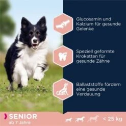 EUKANUBA Senior Small & Medium Breed Lamm & Reis 12 Kg -ROYAL CANIN Verkaufsgeschäft d6ab91a099af21f8767b6e3ef91e63c46e7659a9 38e1b9385153b1f6364894e35d40afe9cd5b0cab