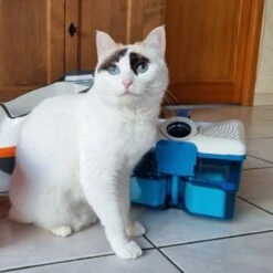 THOMAS Staubsauger 16 THOMAS Staubsauger -ROYAL CANIN Verkaufsgeschäft d74e3cdb93ec3dcec33da8a346880210d1823b1e 1406733 de DE 817045830cc32e31da1f6ec74c9727ecafc6b086XIONN0