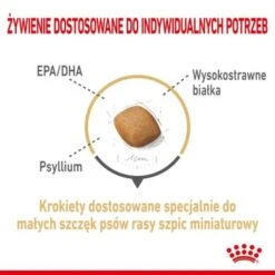 ROYAL CANIN BHN Pomeranian 1,5 Kg -ROYAL CANIN Verkaufsgeschäft d87006e1ac3fff185495f2268fc6d8b01404bfed 1379877 32