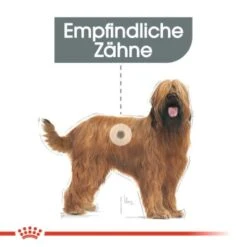 ROYAL CANIN Dental Care Maxi 9 Kg -ROYAL CANIN Verkaufsgeschäft d879558a27b10927060f06ffe48b3b16c9a5fa05 1a0c53f3ef6bd0e9059362423d9c09b49ac2d8c6