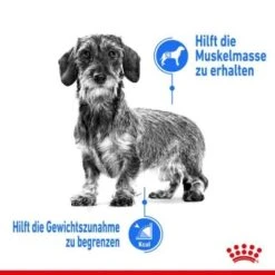 ROYAL CANIN Light Weight Care Mini 8 Kg -ROYAL CANIN Verkaufsgeschäft d88c697ba06de27a17345fad7a39366f1a3a0396 c5b3b0d6c42868fa4150a32ae1163d6c1c3ff29b