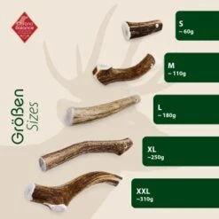 ChronoBalance Geweih Ganz (L) 2er Paket -ROYAL CANIN Verkaufsgeschäft d89dcb74a2907625509a81d281b6d9848c17af1a 1418692 de DE 9000f1c6c85d241db6c67b53955280ae842a85a4SRKhfw