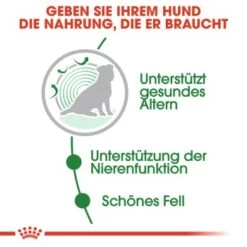 ROYAL CANIN Mini Ageing 12+ 12x85g -ROYAL CANIN Verkaufsgeschäft d914b80de7b105b27770d0a8b7a44e4953c403d8 1327898 de DE rc 3