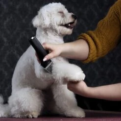 Moser Schermaschine Arco Pro -ROYAL CANIN Verkaufsgeschäft d94979d61f2023cf0118c8257a8bd4066fa8858b ed4a0b808fc43743a84927566ac43a708eadd5ba