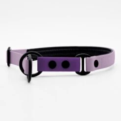 THE DOG IDEA Zugstopp Halsband Neongelb XS -ROYAL CANIN Verkaufsgeschäft d995d674a0a6e4782ee72b9509f3e89d72411d5b 1499718 de DE 805e02331dfb2d4d0fd998429f1dc1b04e1a5d292EIpfP