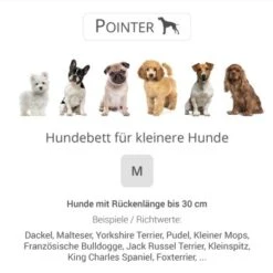 Pointer Liegeplatz Anthrazit M -ROYAL CANIN Verkaufsgeschäft dacb5d0e68369f55cb762b76a22898271ab868a8 0636d788341d46b965ccfed669d1fb34a1f28af7