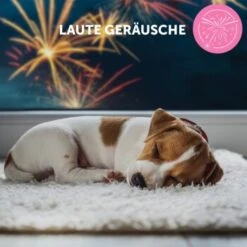 ADAPTIL Junior Halsband Anti Stress Erziehungshalsband 21 ADAPTIL Junior Halsband Anti Stress Erziehungshalsband -ROYAL CANIN Verkaufsgeschäft db33920bc3d21bba892bdb530582f20170b9cd84 1287044 9