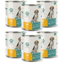 Fellicita Huhn & Reis 6x 800g 5 Fellicita Huhn & Reis 6x 800g -ROYAL CANIN Verkaufsgeschäft db3546dbb552cdd4f2368088012ab49ad1afc3b0 1486606 de DE c48dc621c151c4d3e38cd8e6a6fc4078162617daoj3WST