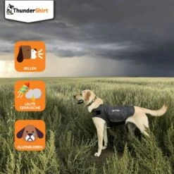 Thundershirt Beruhigungsweste Grau XS -ROYAL CANIN Verkaufsgeschäft dba829e1909f5c4f6710e4085b27664b9bf6ac3e 1102942 2