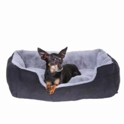 Lionto Hundekissen, Hundebett / Katzenbett Mit Wendekissen Grau/ Schwarz S -ROYAL CANIN Verkaufsgeschäft dcc5d9292850980da597dd3d41b309b2bef92fcf 1642112 de DE 2bf39624753f19296fa88fba5b98bc67c216a94aqaWpS0