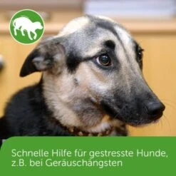 ADAPTIL Chew 30 Stück Anti Stress Snack 15 ADAPTIL Chew 30 Stück Anti Stress Snack -ROYAL CANIN Verkaufsgeschäft dd1f44620defd2e7a86c6271361fb23975f08b2f 1374744 3