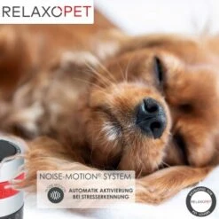 RelaxoPet PRO Entspannungs-Trainer HUND -ROYAL CANIN Verkaufsgeschäft de224d287be26c0354854993fb0e65239f9ec826 1315705 de DE a310aadac7db671f3faae759d92e591bdad669dc4yLyHE
