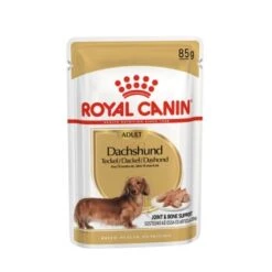 ROYAL CANIN Dachshund Adult Mousse 12x85g -ROYAL CANIN Verkaufsgeschäft de96ce197477c2a8829fb0e667d0e4e3cafcf670 1239184 de DE rc 1