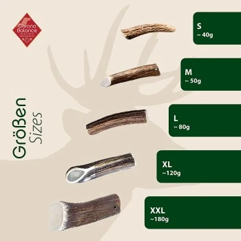 ChronoBalance Geweih Halbiert (L) 2er Paket 7 ChronoBalance Geweih Halbiert (L) 2er Paket – Bild 5