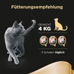 Sheba Selection In Sauce 22x85g Mit Rinderhäppchen -ROYAL CANIN Verkaufsgeschäft df37dc46181a88a1be6d8d9d2f7654156a5e7d19 4ad6dfb0c0d06f33126b23464dd4c1bdf61f6abc