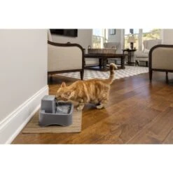 PetSafe Trinkbrunnen 1,8 L -ROYAL CANIN Verkaufsgeschäft df488cf045110a6e0d24fcded3d81de07583d88a 1323706 7