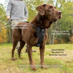 Kurgo Tru-Fit Smart Hundegeschirr XS -ROYAL CANIN Verkaufsgeschäft dfbefdb5cf1d59684ff67b5f978c9da5ad4d6801 1481169 de DE 388e931619b4f142b5510c311a315484232475c29AvRiq