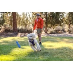 Ruffwear Gourdo™ Spielzeug L Violett -ROYAL CANIN Verkaufsgeschäft e0043bb37798e694605eafae31f43ab1b08a1b0e 1639892 de DE 14d32b95607116f791fa89977cce0163703631adnlxQik