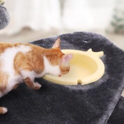 FEANDREA Mit Fressnapf Hellgrau Dunkelgrau -ROYAL CANIN Verkaufsgeschäft e0612f58e6cb8d822363112fdb47bb295de5e04a 1483606 de DE e41e735793de6f9347f2d50bd4d135ecb01beb8bnoaNEc