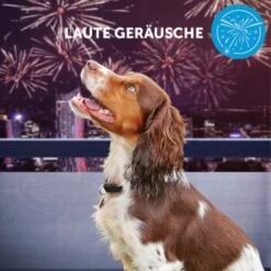 ADAPTIL Calm Halsband Anti Stress Erziehungshalsband S-M -ROYAL CANIN Verkaufsgeschäft e065c94a1eadac38177e4f3120e975f32282355e 1204441 10