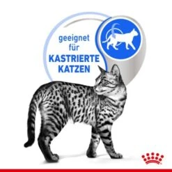 ROYAL CANIN Indoor Sterilised 12x85g In Gelee -ROYAL CANIN Verkaufsgeschäft e0f30f9a28c4a2b10156c12b92347b4c5a9b1e23 8c952aa18fe09440ca4c62569fbc775fe9fd6239