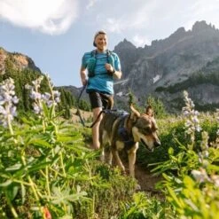 Ruffwear Geschirr Front Range Royal S -ROYAL CANIN Verkaufsgeschäft e15197d6b811d617809f68f33d8a3e65d6aeaca9 b4ff373a643a06cdf020cbcf677cbfa6d9fa075f