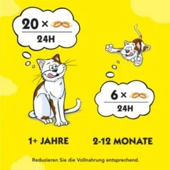Dreamies Snack-Vielfalt 12x60g 13 Dreamies Snack-Vielfalt 12x60g -ROYAL CANIN Verkaufsgeschäft e1b190f4f53100ff83c0fb6481ba747fb1f78bad 1297459 2