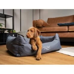 TrendPet Viscado Orthopädisches Hundebett Grau S 15 TrendPet Viscado Orthopädisches Hundebett Grau S -ROYAL CANIN Verkaufsgeschäft e3085ac3bd300c2cb1b93e036022a0cce5e9ad00 1223491 de DE 9354cb70cec83749c3d5c1a85e99e98471884a1bP95Ter
