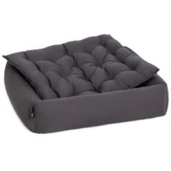 Pointer Liegeplatz Anthrazit M -ROYAL CANIN Verkaufsgeschäft e353970f9113248a44be96e6e25b14d66871ff3b c862998f702d95462abe10681a1f8a0f9fe6ac47