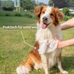 Aniforte Pflegetücher 100 Stück -ROYAL CANIN Verkaufsgeschäft e365b8abe40c079512459251ed7a0e0087ff8345 1439276 de DE e9b1c5cd3e053b4194f300ca56919dacbe6d40f5HoicFY