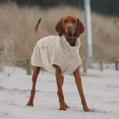 THE DOG IDEA Bademantel Every Beige XXXS -ROYAL CANIN Verkaufsgeschäft e3729773c9f5b61c18a464eeb5076e81a866013e 1472946 de DE ac504db57b88122680c4cb56470ea23721b69c99VnzO7V