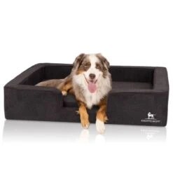 Knuffelwuff Orthopädisches Hundebett Mit Wendekissen Aus Velours Bellamy Schwarz M-L -ROYAL CANIN Verkaufsgeschäft e3b7bc46ae320ad688559fbe65b93d653050af29 1412229 de DE a8fed7047a4b2b7c518b9afe1b1b115d3d9d2c8emVyF8X