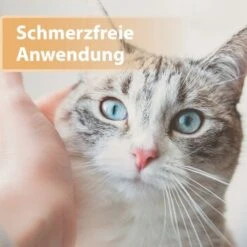 Felisept Wundgel 20ml -ROYAL CANIN Verkaufsgeschäft e40e3e95a03fb00c1318f0e5b318422377d5a3ac 1396291 de DE e6f6116196c434f816ff510902765d32eaff788cDpbYBX