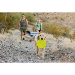 Ruffwear Camp Flyer™ Spielzeug Gelb -ROYAL CANIN Verkaufsgeschäft e4a37a6a829a29e9ccf8cc78751e0fdb21b1f16a 1444349 de DE aecf8c0098a10a43cb5986118c66a87955de58baPHiPKl