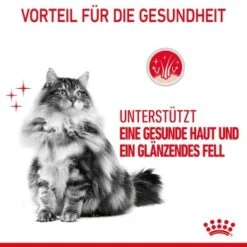 ROYAL CANIN Hair & Skin Care 2 Kg -ROYAL CANIN Verkaufsgeschäft e72e5a130ddb229ae62e4146a3b2cfdcf7f8fd19 1003122007 4