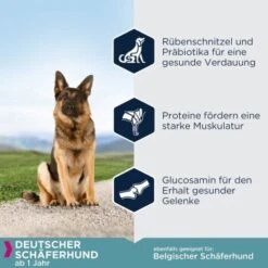 EUKANUBA Breed Specific Deutscher Schäferhund 12 Kg -ROYAL CANIN Verkaufsgeschäft e74566402a337a12fdc798e9fabde5f0d5953a5c cc66d4c435377188d1bbad195ed5e6d7ec8074b3